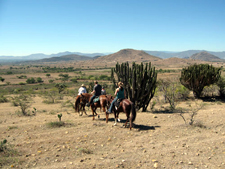 Mexico-Oaxaca-Oaxaca Explorer Ride